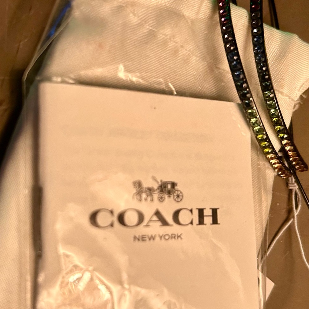 COPY - Coach Rainbow Earrings - Picture 2 of 3